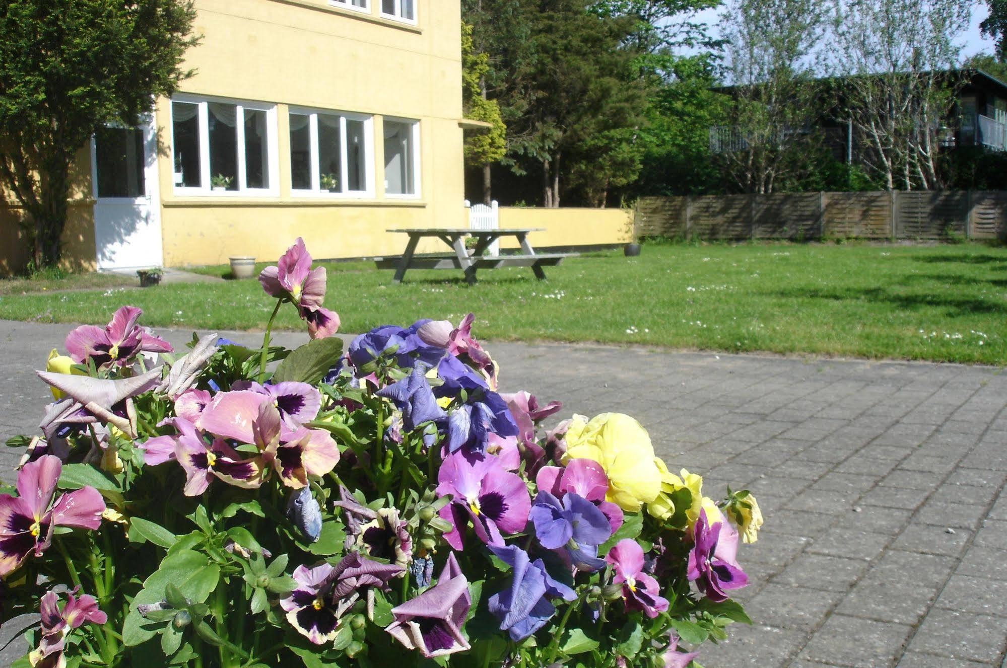 Hotel Havlund Bed And Breakfast Grenå Buitenkant foto